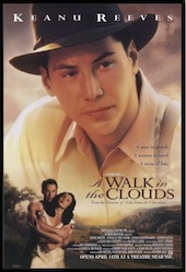 Whole-Movie Portal for A Walk in the Clouds, for ESL movie Lessons at Movies Grow English